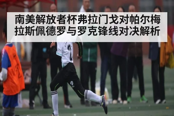 南美解放者杯弗拉门戈对帕尔梅拉斯佩德罗与罗克锋线对决解析